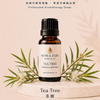 《有機茶樹精油》Tea Tree Organic - Melaleuca alternifolia 15g